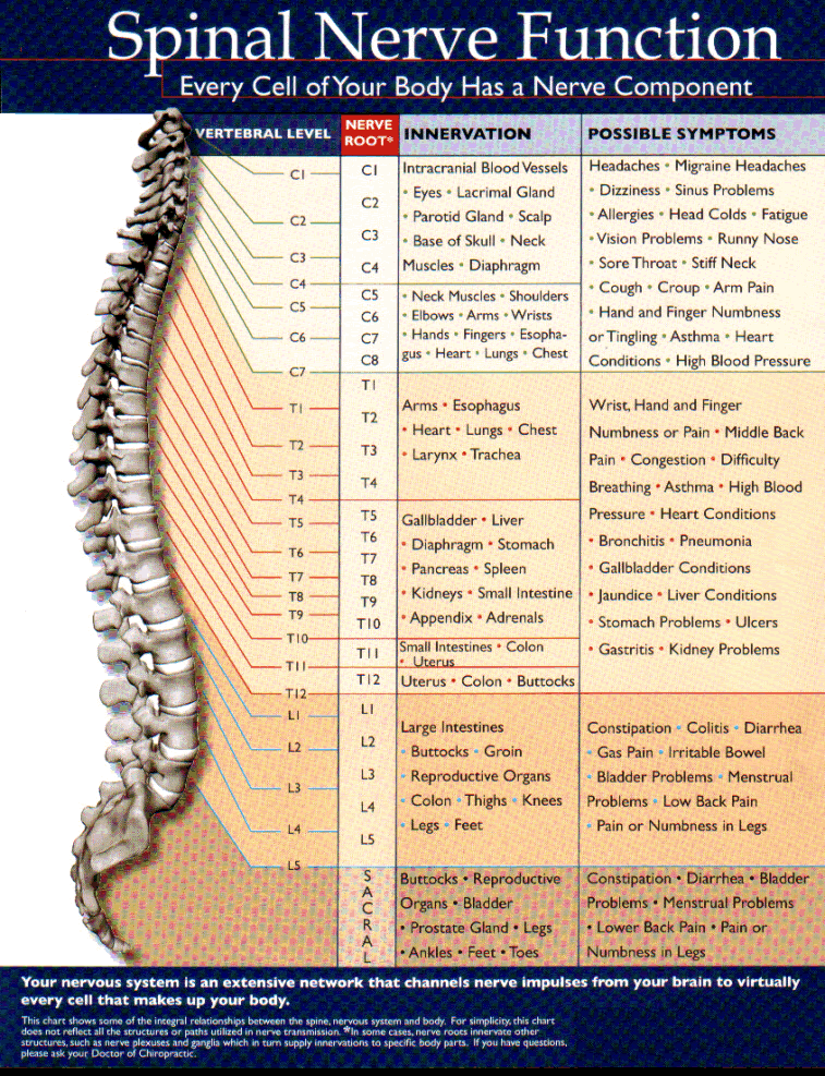 Five Things You Didn't Know Chiropractic Adjustments Did For Your